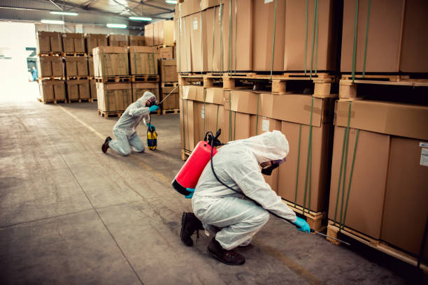 Best Wildlife Control Services  in Cahokia, IL