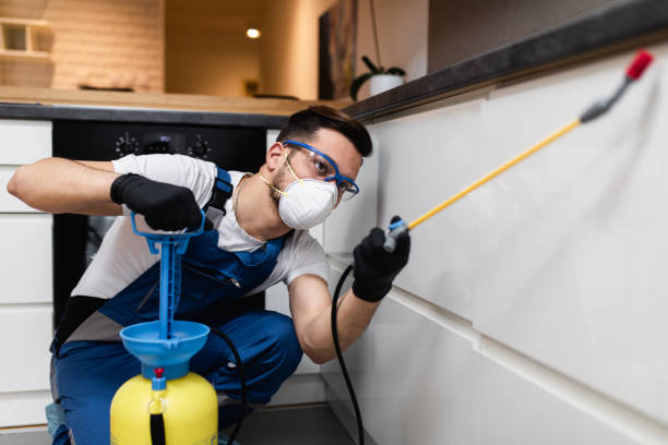 Best Flea Control Services  in Cahokia, IL
