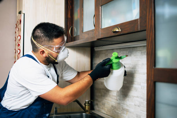 Best Bed Bug Extermination  in Cahokia, IL