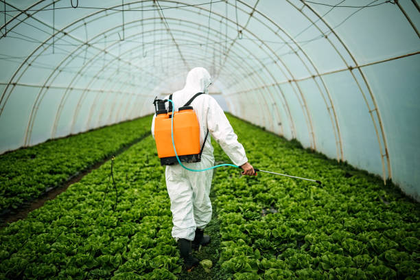 Best Affordable Exterminators  in Cahokia, IL