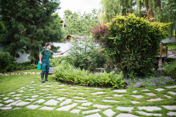 Best Pest Prevention Services  in Cahokia, IL