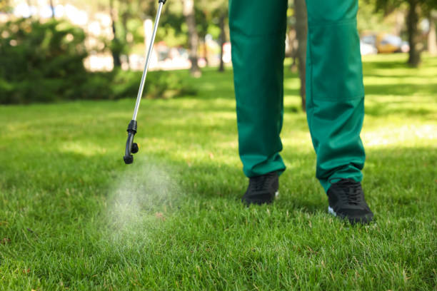 Best Cockroach Control Services  in Cahokia, IL