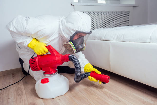 Best Best Pest Control Companies  in Cahokia, IL