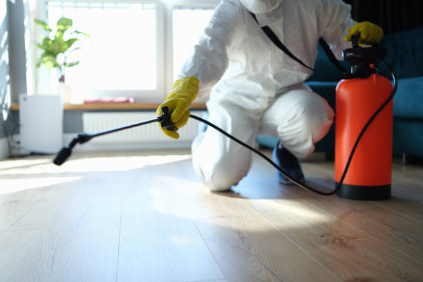 Professional Pest Control in Cahokia, IL