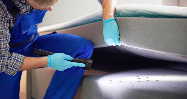 Wasp Removal Services in Cahokia, IL