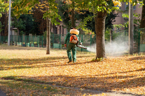 Best Bed Bug Extermination  in Cahokia, IL