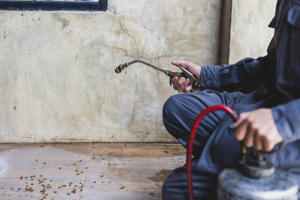 Best Pest Removal Services  in Cahokia, IL