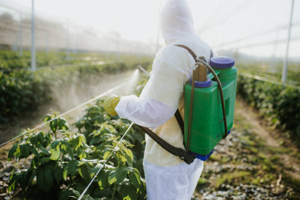 Best Pest Inspection Near Me  in Cahokia, IL